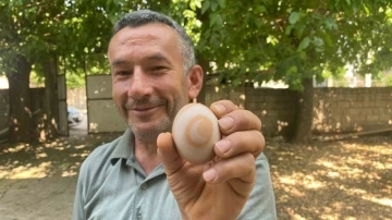 Adıyaman'da Hilal İşaretli Yumurta Büyük Şaşkınlık Yarattı