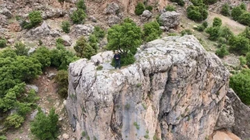 Adıyaman'da Kayanın Üzerinde Büyüyen Meşe Ağacı Görenleri Hayrete Düşürüyor