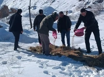 Adıyaman'da Yaban Hayvanları İçin Kış Mesaisi