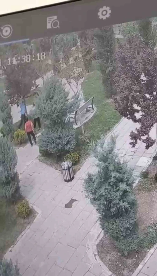  Ağaçlara Zarar Veren Gençler Güvenlik Kameralarına Yakalandı