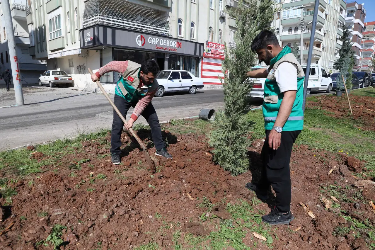 Haliliye&rsquo;de Yeşil Seferberlik: Yaz G&uuml;neşi &Ouml;ncesi Parklarda Estetik D&ouml;n&uuml;ş&uuml;m Başladı!