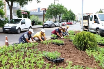 Bağlar’da Refüjlere Renkli Dokunuş: 9 Bin 720 Kadife Çiçeği Dikildi