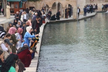 Baharın Müjdecisi Balıklıgöl, Ziyaretçi Akınına Uğradı