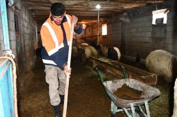 Beytüşşebap'ta Besicilerin Karla Mücadelesi