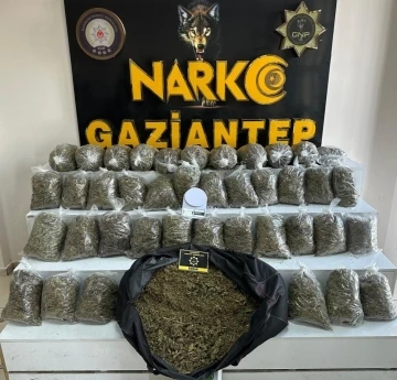  Büyük Narkotik Operasyonu: 56 Kilo Esrar Ele Geçirildi