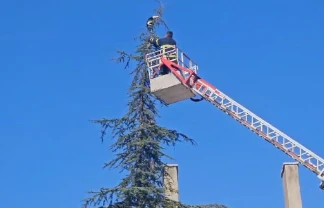 Çorum'da 15 Metrelik Ağaçta Mahsur Kalan Kediyi İtfaiye Kurtardı