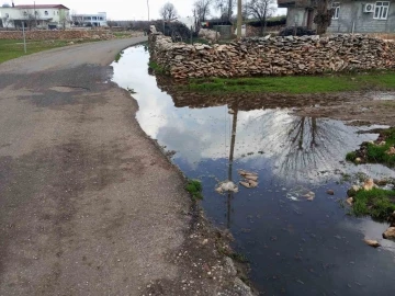 Diyarbakır Batur Mahallesi'nin Çözüm Bekleyen Sorunları