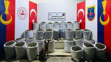 Diyarbakır'da 611 Kilogram Toz Esrar Ele Geçirildi