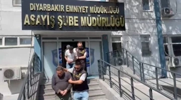 Diyarbakır’da Asayiş Operasyonlarında 133 Şüpheli Tutuklandı