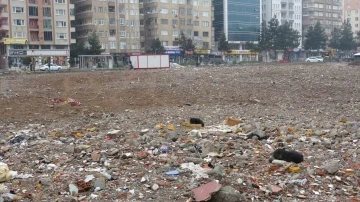 Diyarbakır'da Depremden Geriye Kalan Alan Sokak Köpeklerine Emanet