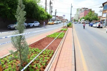 Diyarbakır'da Renkli Peyzaj Çalışmaları Devam Ediyor