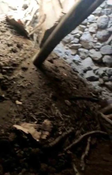 Diyarbakır Eğil'de Ahır Çökmesi: 3 Keçi Hayatını Kaybetti