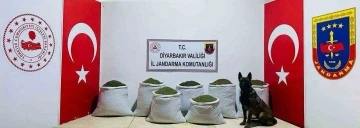 Diyarbakır Lice'de Büyük Uyuşturucu Operasyonu: 129 Kilo Toz Esrar Ele Geçirildi