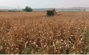 Emektar Traktörle 36 Yıldır Tarla Sürüyor: Bir Çiftçinin Hikayesi