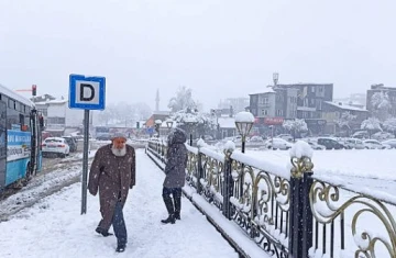 Erzurum'da Soğuk Hava Etkili Oluyor