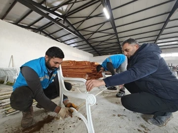 Eyyübiye'de Çevreci Dönüşüm: Yerel Yönetimden Dev Adım