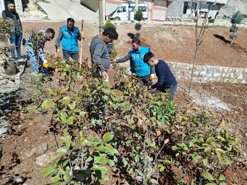 Eyyübiye'de Yeşil Dönüşüm Devam Ediyor: Ağaçlandırma ve Yeşillendirme Çalışmaları