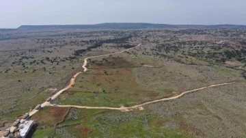 Fadıloğlu'nun Yolu: Şehitkamil'de Tarım Alanlarını Açan Projeler