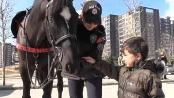 Gaziantep'te Atlı Polisler Görev Başında: Şehrin Güvenliği At Üzerinde