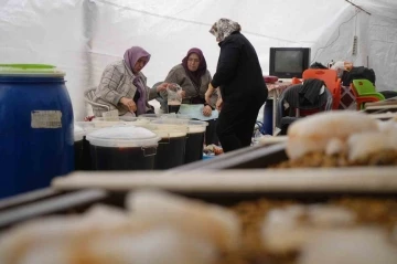 Gaziantep’te Meyan Şerbeti Üretimi: Ramazan Sofralarının Vazgeçilmezi