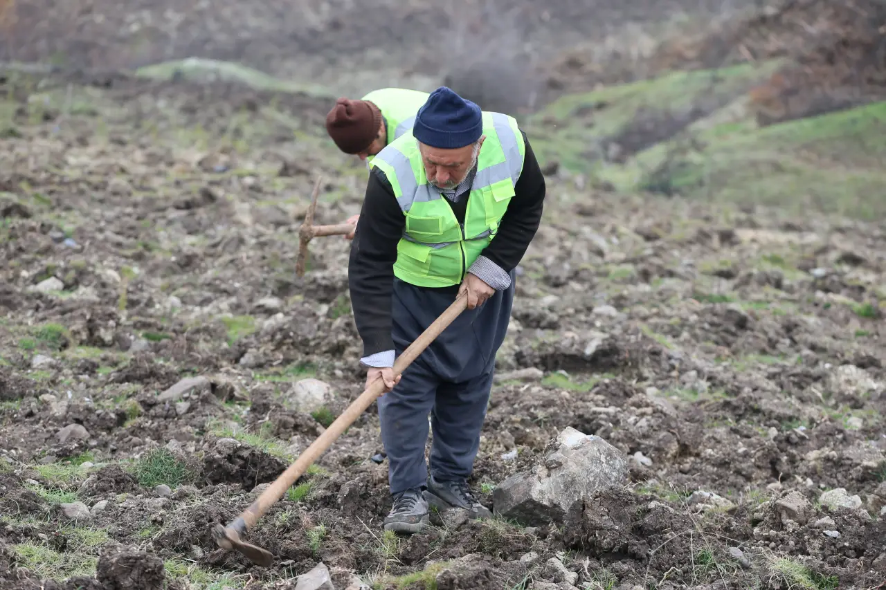 Gaziantep'te Ormanlar Yeniden Yeşerecek: 150 Bin Fidan Dikiliyor