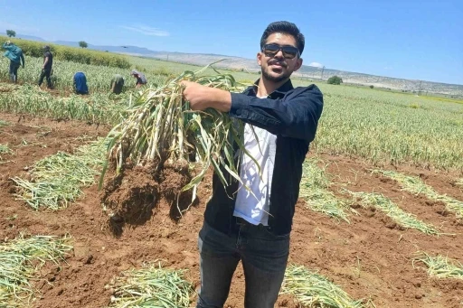 Genç, Baba Mesleğini Bilimle Buluşturdu: Sarımsak İçin Mühendis Oldu