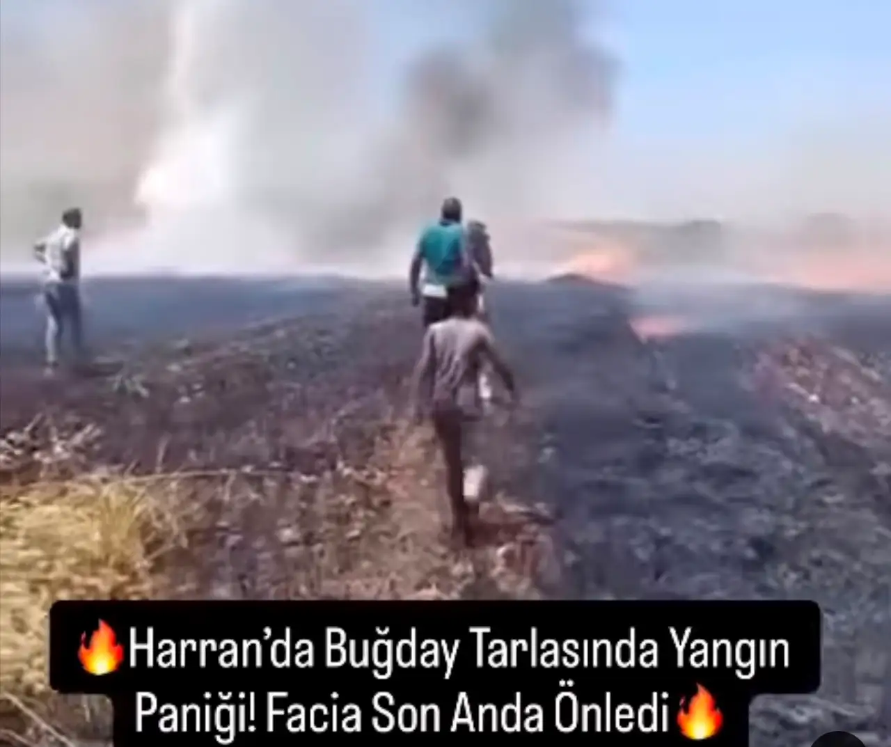 Harran Ovası'nda Alevler G&ouml;ky&uuml;z&uuml;ne Y&uuml;kseldi: Bir Felaket &Ouml;nlendi
