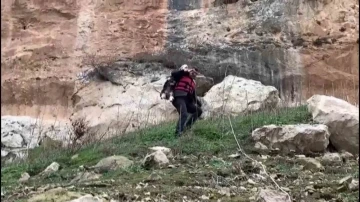 İtfaiye Eri, Kayalıklarda Mahsur Kalan Keçiyi Kahramanca Kurtardı