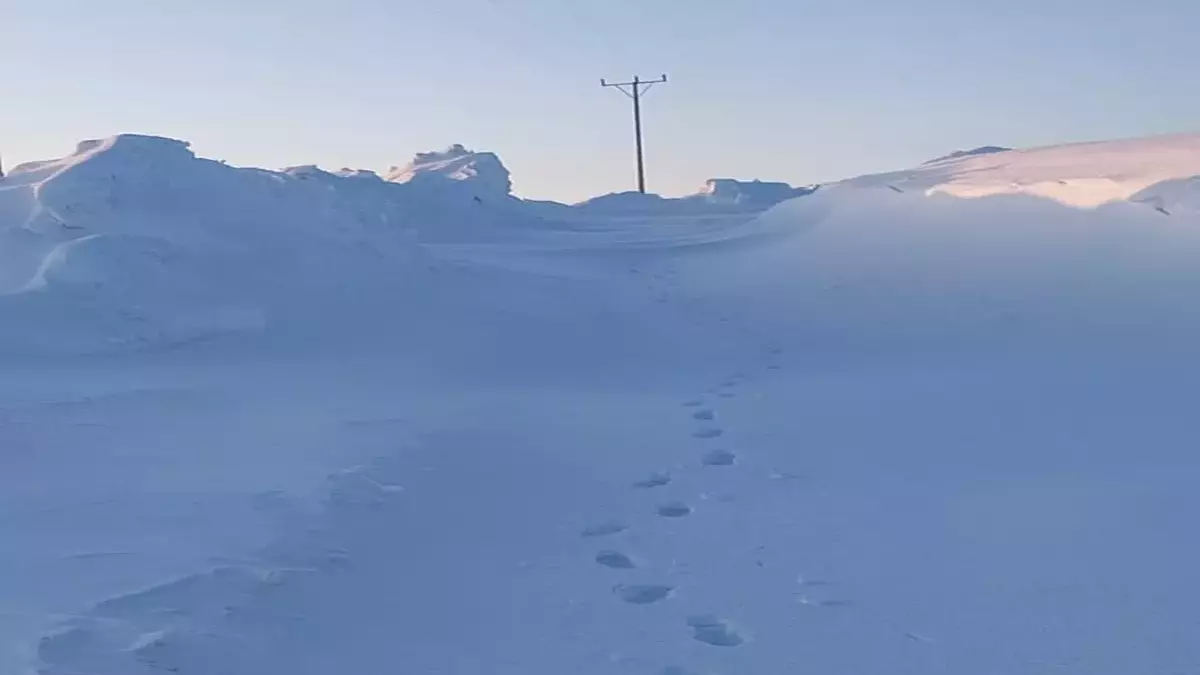 Karlıova'da Karla Kapalı Mezra Yolu Ulaşıma Açıldı: İlçe Özel İdare Ekipleri Harekete Geçti