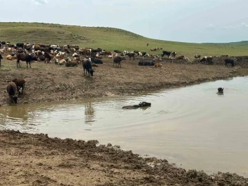 Kırsal Göletlerde Bakım Çalışmaları Sürüyor