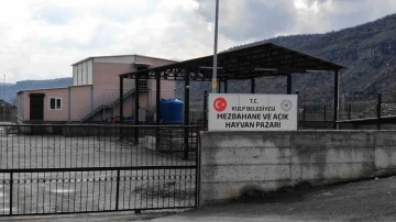 Kulp'ta Yeni Açık Hayvan Pazarı ve Mezbahane Hizmete Girdi