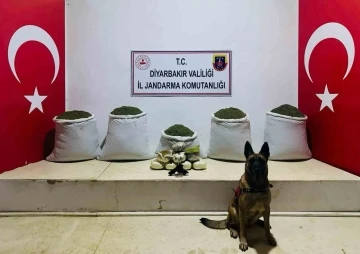 Lice'de Dev Uyuşturucu Operasyonu: 91 Kilo Esrar Ele Geçirildi