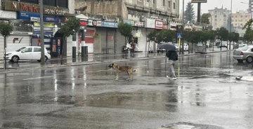 Malatya ve Şanlıurfa'da Sağanak Yağış: Evleri Su Bastı, Ekipler Müdahale Ediyor