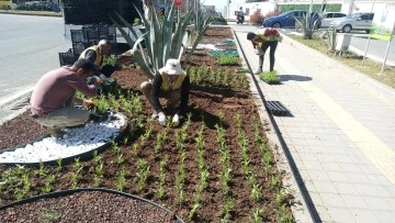 Mardin'de Baharın İzleri: Büyükşehir Belediyesi Çiçeklendirme Çalışmalarını Sürdürüyor