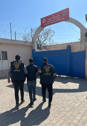 Mardin'de Suç Operasyonları: 13 Zanlı Tutuklandı