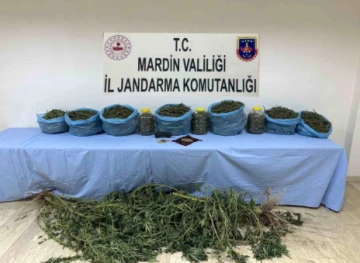 Mardin'de Uyuşturucu Operasyonunda 1 Şüpheli Tutuklandı