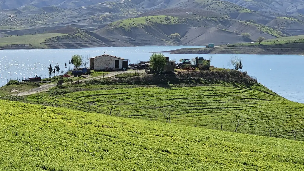 Muhtarlık Seçimi Kanlı Bitti: 1 Ölü, 4 Yaralı