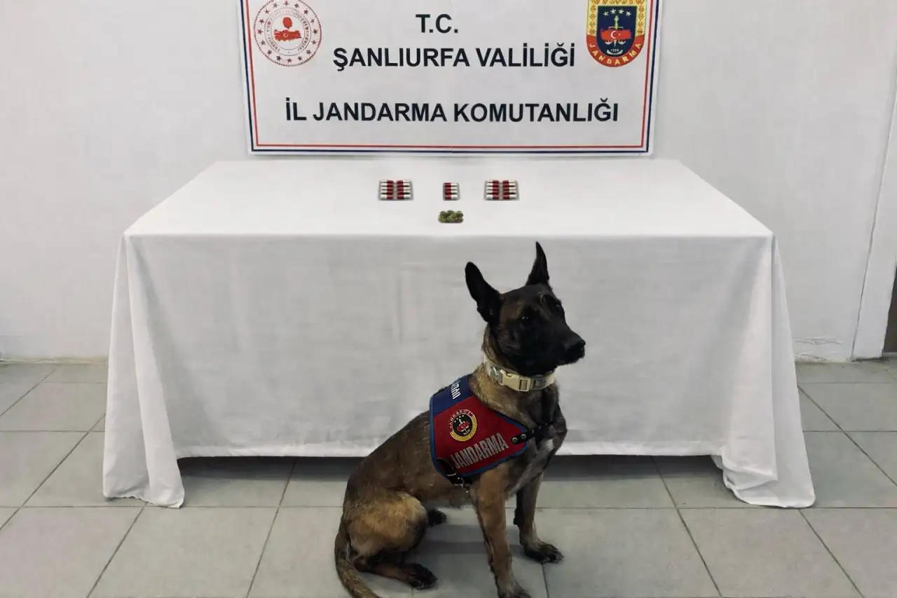 Şanlıurfa&rsquo;da&nbsp; Jandarmadan D&ouml;rt İl&ccedil;ede Dev Operasyon!
