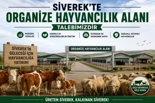 Siverek’te Organize Hayvancılık Alanı “Artık İhtiyaçtan Öte Zorunluluk”
