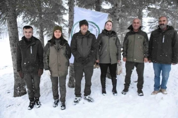 Şırnak'ta Yaban Hayvanları İçin Yürekleri Isıtan Hareket: Doğaya Yem Bırakıldı