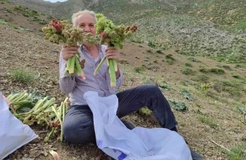 Adıyaman Sincik'te Zorlu Yürüyüşlerle Işkın Toplama Geleneği Devam Ediyor