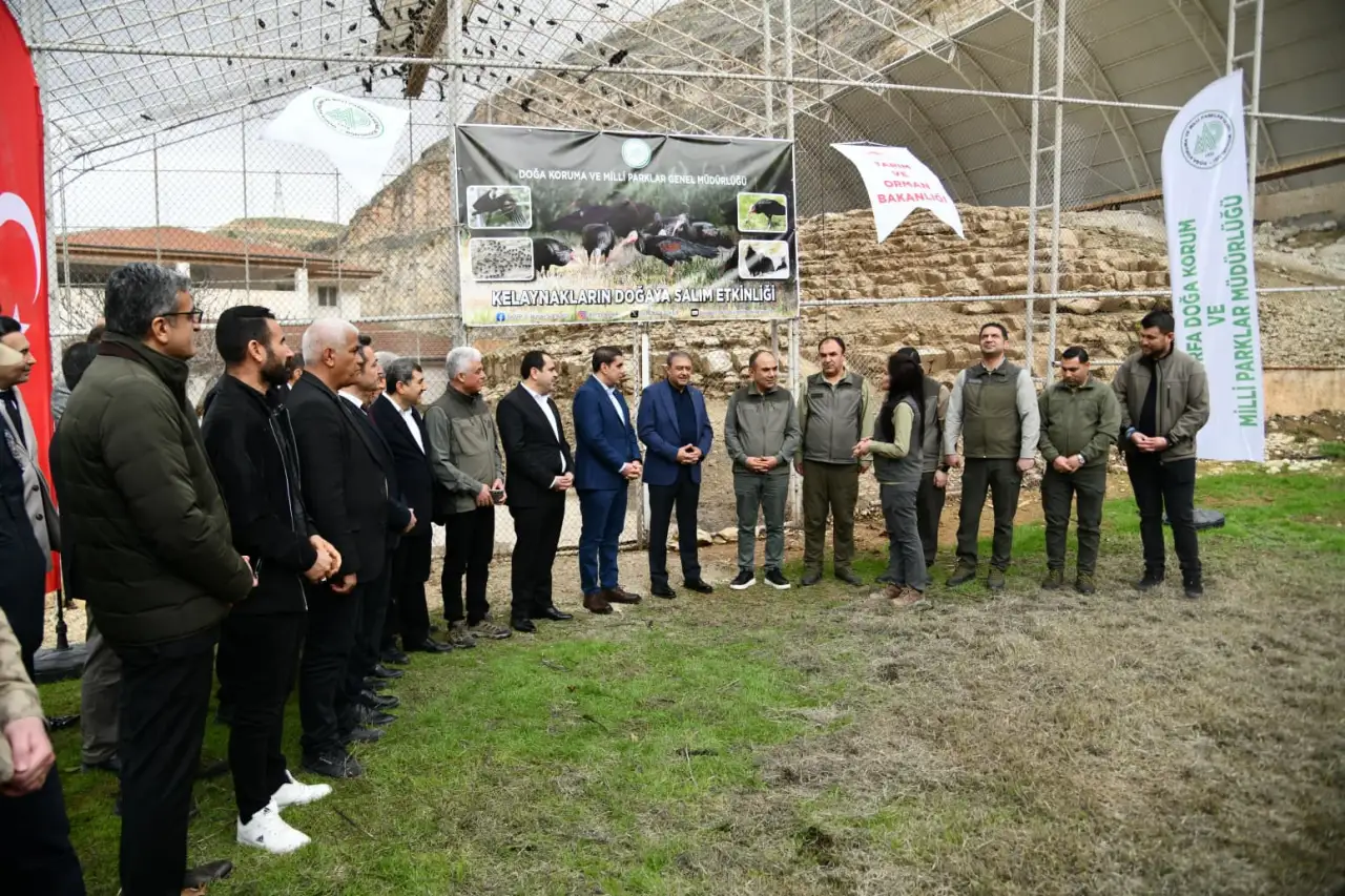 Nesli T&uuml;kenmekte Olan Kelaynaklar &Ouml;zg&uuml;rl&uuml;ğe Kanat &Ccedil;ırptı!