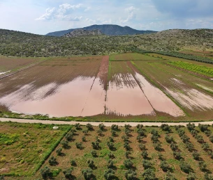 Osmaniye'de Dronla Görüntülenen Tarlalar Estetik Bir Manzara Oluşturdu