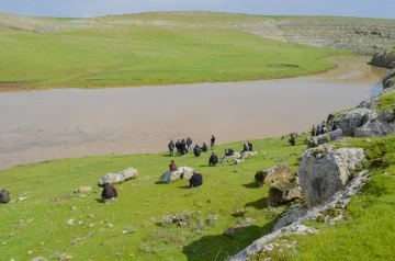 Şanlıurfa Ceylanpınar'da Bir Çocuk Derenin Sularına Kapıldı