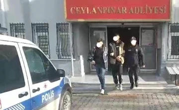 Şanlıurfa'da Aranan Hırsız Yakayı Ele Verdi: 21 Yıl Hapis Cezası