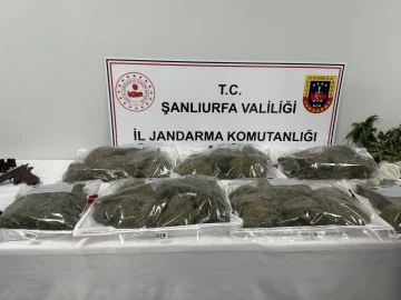 Şanlıurfa'da Geniş Çaplı Uyuşturucu Operasyonu: 36 Gözaltı