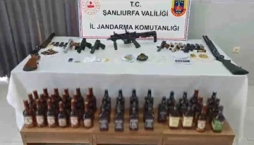 Şanlıurfa'da Jandarma Operasyonu: 29 Gözaltı