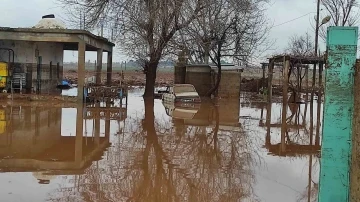 Şanlıurfa'da Sağanak Yağışın Ardından Kırsal Mahalleler Sular Altında