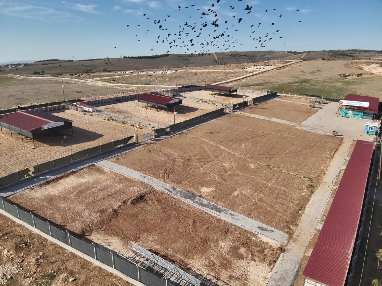 Şanlıurfa&rsquo;da Sokaklar Artık Daha G&uuml;venli: Sahipsiz Hayvan Sorununda Tarihi Başarı!