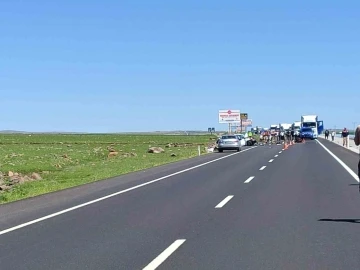 Şanlıurfa'da Trafik Kazası: 2 Ölü, 6 Yaralı